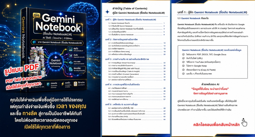 Gemini Notebook Infographic